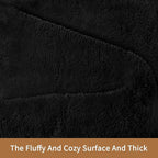 Sour Lemon 9x12 Area Rugs for Living Room, Soft Large Area Rug Fluffy Rugs for Bedroom，Machine Washable Area Rug Non Slip Carpet Rug for Living Room Playroom Kids Room Home Decor