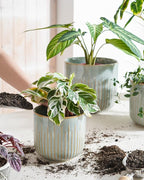 LE TAUCI Fluted Ceramic Planters Set of 3 – 8.3/7 / 5.7 in Blue Gray Reactive Cylinder Indoor Plant Pots with Drainage Plug & Mesh, Glossy Stoneware Flower Pots for Succulents Herbs