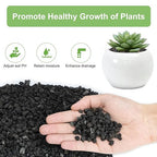 5 lbs Pebbles for Indoor Plants, Succulent, Cactus, 1/5 Inch Small Lava Rock for Plants Drainage, Natural Horticultural Volcanic Rock, Top-Dressing