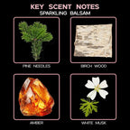 LOVSPA Reed Diffuser Set, Sparkling Balsam Scented Oil Diffuser with Sticks, Home Fragrance Accessories for Bathroom Shelf Decor, Aroma Diffusers for Home or Office Desk, USA Made