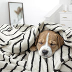 Lahome Boho Fleece Throw Blanket Black White Striped Fluffy Bed Throws Soft Cozy Warm Fuzzy Throw Blanket Reversible Blankets for Couch Sofa, Off White 50''x60''