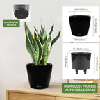 Dexceder 11x10 Inches High Gloss Self Watering Planter Indoor Outdoor, Inner Pot Design, Thickened Table Flower Plant Pot with Water Level Indicator (Black)