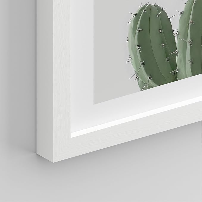 SIGNWIN Framed Green Cactus Snake Plant Wall Art, Set of 4 Collage Desert Landscape Wall Decor Prints, Nature Wilderness Wall Décor for Living Room, Bedroom - 12"x16" White