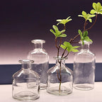 WDHODEC Glass Bud Vases Set of 4, Small Clear Vases for Flowers, Mini Glass Vase Assorted for Rustic Wedding, Floral Arrangements, Home Table Decorations