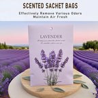 Lavender Scented Sachet Bags - 12 Pack Home & Car Freshener, Odor Eliminator for Closets, Rooms, Drawers, Wardrobes, Toilets, Long - Lasting 360 - Day Fragrance