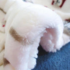 UKELER Flannel Sherpa Throw 60'' x 50''- Owl Printed Soft Plush Flannel Blanket Throws for Bed/Couch/Sofa/Office/Camping