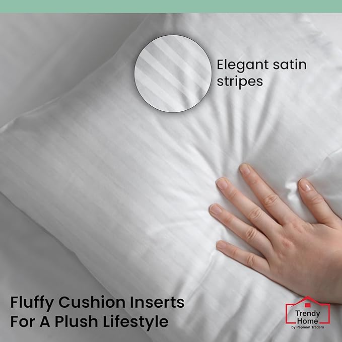 Trendy Home 20x20 Throw Pillow Insert (Set of 2, White) Bed and Couch Pillows Stuffer Hypoallergenic, Decorative Home Indoor Outdoor Sofa Pillow Filler (Machine Wash, 2 Pack)