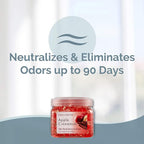 SMELLS BEGONE Odor Eliminator Gel Beads - 12 oz, Pack of 6 - Eliminates Odor in Bathrooms, Cars, Boats, RVs & Pet Areas - Air Freshener - Made with Essential Oils - Apple Cinnamon Scent