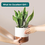 vancasso Ceramic Pots for Plants, Plant Pots for Indoor Plants, 6.25+8.25+10.25 Inch Ceramic Planters, Flower Pots with Drainage Holes, Planters Pot for Indoor House Plant, Set of 3, Khaki