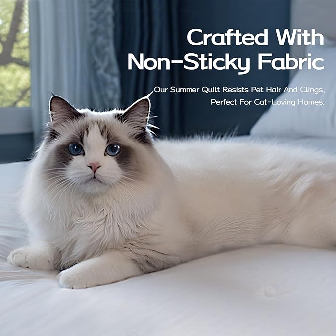 Queen Cooling Comforter with Tencel™ Fill for Hot Sleepers & Night Sweats - Lightweight, Breathable, Double-Sided Cold Blanket All Season Thin Bedding (White, Full 90"x 90")