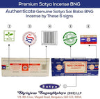 Raajsee Incense Holder Bundle with Satya Nag Champa Incense Sticks 250 gm Pack, Satya Sai Baba Nagchampa Natural Insence Sticks