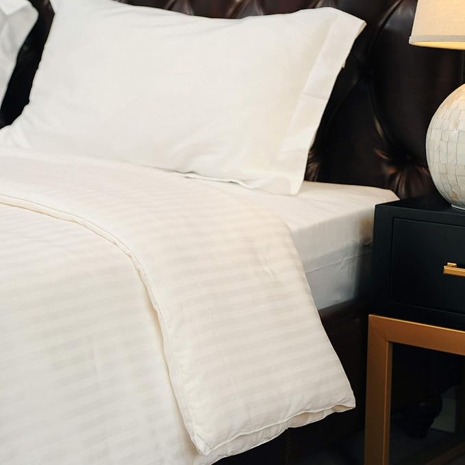 CUDDLE DREAMS Silk Comforter for Winter, 100% Long-Strand Silk Filling, Natural & Breathable (Twin Size)