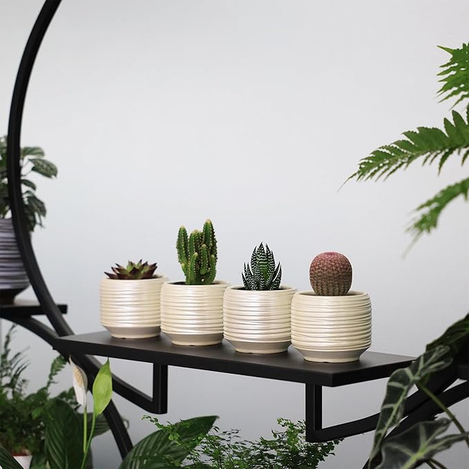 Mini Succulent Planter Set – 3.7 Inch Ceramic Pots with Drainage for Indoor Plants, Small Decorative Flower Pots for Cactus and House Plants, Set of 4