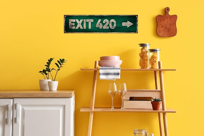 Vintage Tin Sign Retro Metal Exit 420 Signs Stylish Wall Art Plaques for Home Decor Bathroom Kitchen House and Gothic Wall Decor or as a Unique Poster 16x4 in
