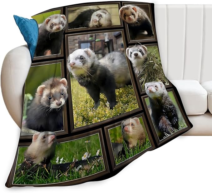 Cute Ferret Blanket for Women Girls Boys Men Funny Animal Ferrets Throw Blanket Plush Cozy Flannel Fleece Ultra Soft Fuzzy Blankets Gifts 50"X40"