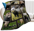 Cute Ferret Blanket for Women Girls Boys Men Funny Animal Ferrets Throw Blanket Plush Cozy Flannel Fleece Ultra Soft Fuzzy Blankets Gifts 50"X40"