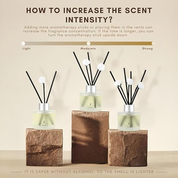 Brakula Reed Diffuser Set, Bamboo White Tea Scented， Reed diffusers for Home， Home Fragrance Diffuser with 7 Reed Sticks for Room/Bathroom Decor 3.38 fl oz (100 ml) (Bamboo White Tea)