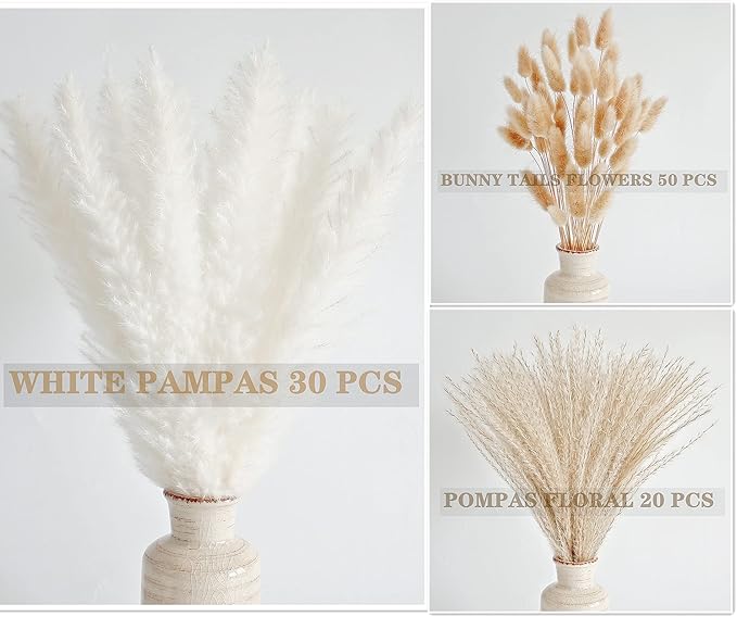 Natural Dried Pampas Grass Decor, White Pampas Grass， Bunny Tails Dried Flowers, Reed Grass Bouquet for Wedding Boho Flowers Home Table Decor, Rustic Farmhouse Party (100 in Total )