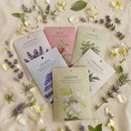 Lavender Scented Sachet Bags - 12 Pack Home & Car Freshener, Odor Eliminator for Closets, Rooms, Drawers, Wardrobes, Toilets, Long - Lasting 360 - Day Fragrance