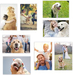 Magicfly Pack of 15 Magnetic Picture Frame with Clear Pocket, 4 x 6 Inches Refrigerator Photo Holder for Fridge Office Cabinet Locker, White