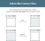 Bare Home Bedding Throw Pillows Insert - 24 x 24 Inches - Decorative Bed and Couch Pillow (Pack of 2, White)