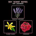 LOVSPA Reed Diffuser Set, Spa Lavender Scented Oil Diffuser with Sticks, Home Fragrance Accessories for Bathroom Shelf Decor, Aroma Diffusers for Home or Office Desk, USA Made