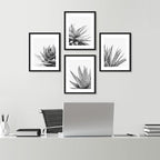 SIGNWIN Framed Black White Snake Plant Agave Cactus Succulent Wall Art, Set of 4 Floral Botanical Wall Decor Prints, Nature Wilderness Wall Décor for Living Room, Bedroom - 12"x16" Black