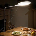 Desk Ring Light with Stand, 10" LED Desk Ring Light with Clamp, 360°Rotate & Flexible Height Full-Screen Overhead Ringlight for Video Recording, TikTok, YouTube, Live Streaming, Content Creation