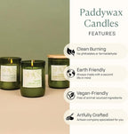 Paddywax Eco Collection Scented Soy Wax Candle in Glass Jar, Bordeaux Fig & Vetiver Fragrance, Green Vessel with Wood Lid, 8 oz