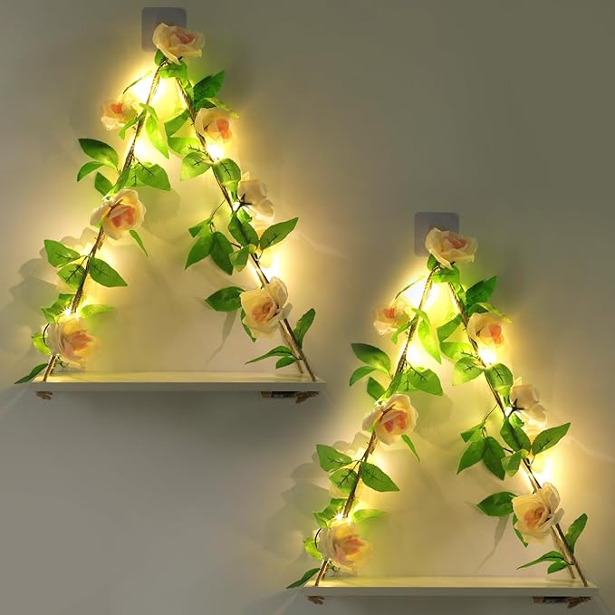 Floating Shelves for Wall,Plant Wall Decor,Hanging Shelf,Cottage Core Decor,Room Decor Aesthetic,Boho Room,Adhesive Shelves,Floating Shelves for No Drilling,Two-Piece Set(Champagne Flower)