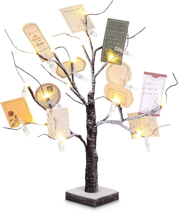 Coume Money Tree Gift Card Holder 1.5 ft Tabletop Display Tree with 72 LED Lights 15 Clear Clips Silver Display Birch Twig for Money Wedding Card Photo Birthday Fall Thanksgiving Halloween Christmas