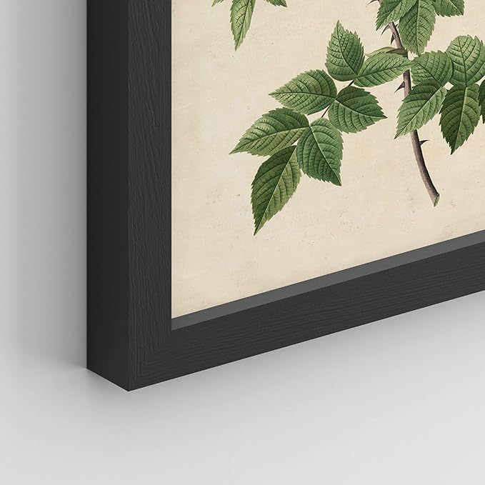 SIGNWIN Framed Vintage Colorful Wildflower Wall Art, Set of 4 Variety Floral Wall Decor Prints, Nature Wilderness Wall Décor for Living Room, Bedroom - 11"x14" Black