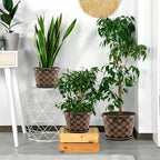16 Inch Planter Pots for Plants, Plastic Large Flower Pots Indoor Outdoor, 4 Pack Resin Plant Pot with Drainage & Saucer, Retro Decorative Garden Pot with Removable Trays for House