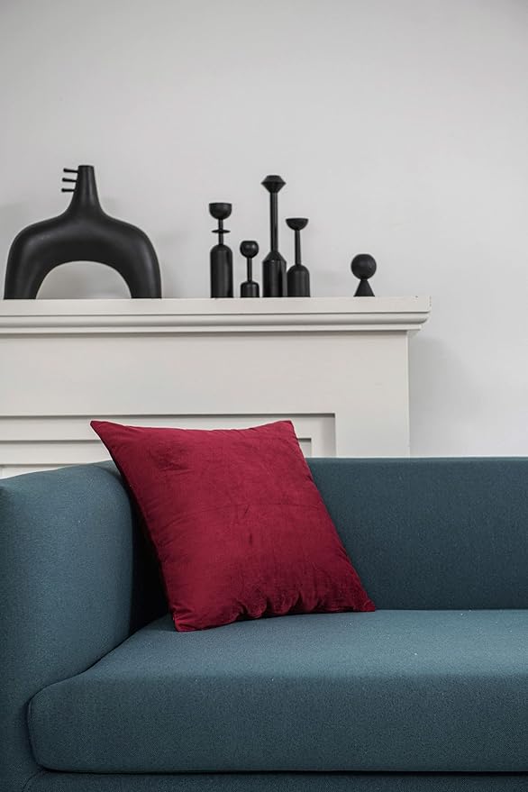 Decorative Pillow Covers 20x20 Burgundy: 2 Pack Cozy Soft Velvet Square Throw Pillow Cases for Farmhouse Home Decor