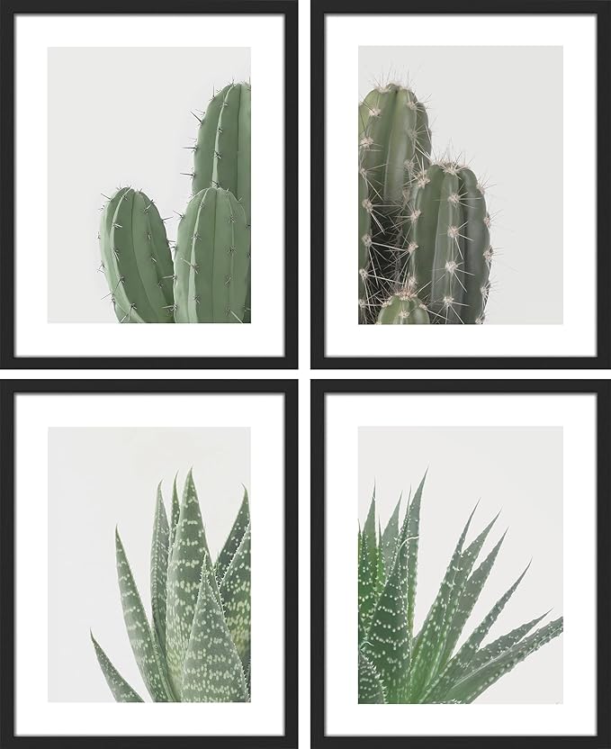 SIGNWIN Framed Green Cactus Snake Plant Wall Art, Set of 4 Collage Desert Landscape Wall Decor Prints, Nature Wilderness Wall Décor for Living Room, Bedroom - 11"x14"Black