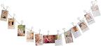 Multi-Purpose Steel Wall Hanging Photo Display Cable Wire Rod with 12 Adjustable Clips for Hanging Photos Notes Postcard and Artworks (Round)