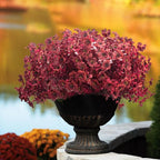 16 Bundles Artificial Boxwood Flowers Outdoor UV Resistant, 13.5" Fall Faux Greenery for Porch Planters Thanksgiving Decor - Fake Plants for Garden, Fireplace, Front Door(Wine Red)