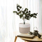 Woven Cotton Rope Plant Basket for 8" Flower Pot Small Basket for Plants Storage Organizer H7.5 x W8.5