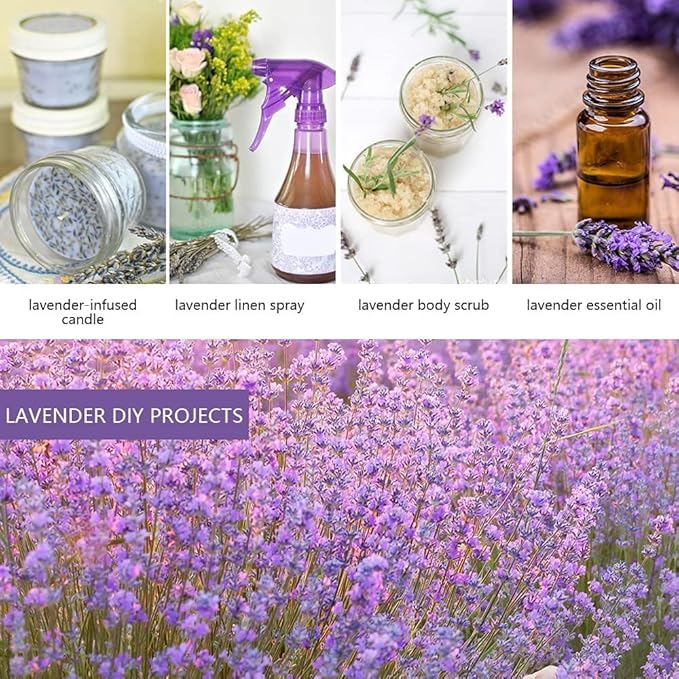 Cedar Space 32 Lavender Sachet Bags for Drawers and Closets Filled with Premium Dried Lavender Smell Good Products Long Lasting Bridal Shower Favors Home Fragrance Sachet Packets for Clothes Storage