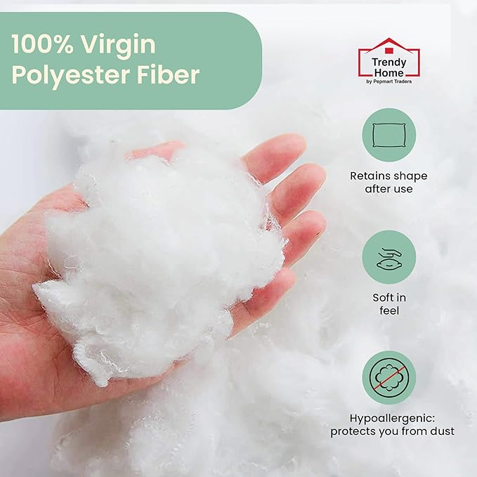 Trendy Home 22x22 Throw Pillow Insert (Set of 2, White) Bed and Couch Pillows Stuffer Hypoallergenic, Decorative Home Indoor Outdoor Sofa Pillow Filler (Machine Wash, 2 Pack)