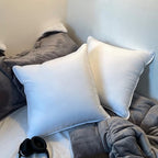 Throw Pillow Inserts 20 x 20 in Set of 2 for Couch and Sofa, Soft Fluffy Square Form Down Alternative Cushion Decorative Pillow Inserts