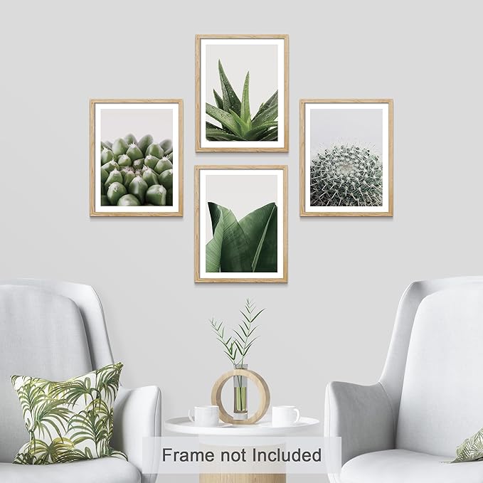 SIGNWIN Adhesive Canvas Poster Tropical Island Green Desert Plant Cactus Snake Plant Nature Wilderness Photography Realism Decorative Rustic Cozy Zen for Living Room, Bedroom, Office - 12"x16"x4
