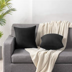 Decorative Pillow Covers 20x20 Black: 2 Pack Cozy Soft Velvet Square Throw Pillow Cases for Farmhouse Home Decor