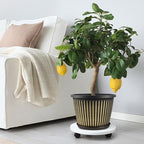 Planter-Pots-for-Plants-Indoor-Outdoor, 4 Pack 10 Inch Plastic Flower Pots with Saucer & Drainage Holes, Modern Garden Planters for Planting Medium Large Plants，Decorative Resin Garden Pots