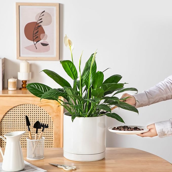 vancasso Ceramic Plant Pots, 8.25 Inch Ceramic Pot for Plants, Planters Pots for Indoor Plants with Drainage Holes, Flower Pot for Indoor House Plant, White