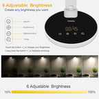 Miady LED Desk Lamp Stepless Dimming for Office Home, 15/30/45 Minutes Auto-Off Timer, 6 Lighting Brightness Levels with Adjustable Arm, Eye-Caring Reading Light for Table Bedroom Study