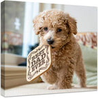 Personalized Photo to Canvas Print - Canvas Prints With Your Photos on Custom Wall Art for Bedroom, Living Room, Wedding Baby Pet Family Picture Framed Wall Art (12" W x 12" H)