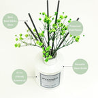 Reed Diffuser Set,5.1oz Cashmere Vanilla Scent Diffuser with Sticks Home Fragrance Reed Diffuser with Essential Oil for Bathroom Shelf Decor&Air Freshener,Home Bathroom Office Decor & Gifts