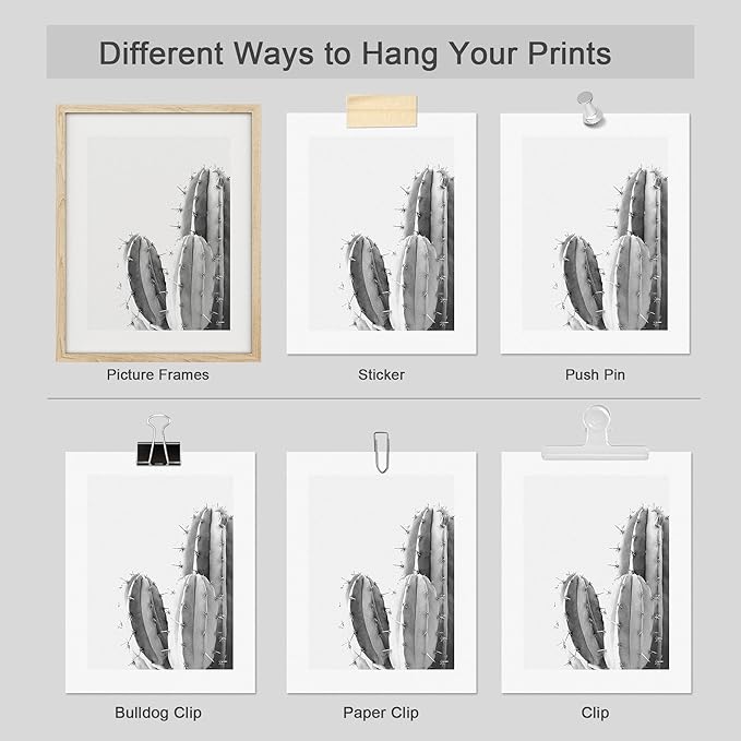 SIGNWIN Poster Set Black & White Saguaro Southwest Desert Tropical Cactus Floral Botanical Photography Modern Art Decorative Scenic Multicolor Nature Wilderness for Bedroom - 12"x16"x4