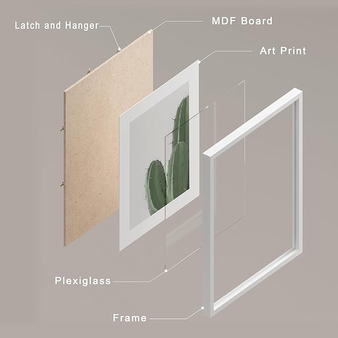 SIGNWIN Framed Green Cactus Snake Plant Wall Art, Set of 4 Collage Desert Landscape Wall Decor Prints, Nature Wilderness Wall Décor for Living Room, Bedroom - 11"x14"White